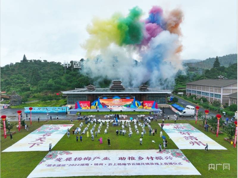 杨梅节云端开摘仪式现场(央广网发 通讯员供图)靖州县委副书记,县长黄