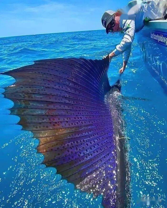 大千世界无奇不有下