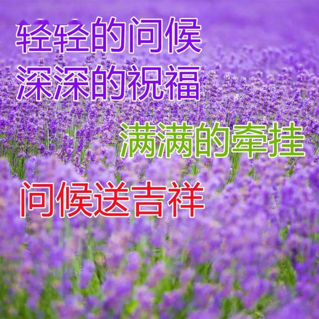 最新漂亮風景早安圖片帶字帶祝福語2022最美早上好問候祝福圖片精選