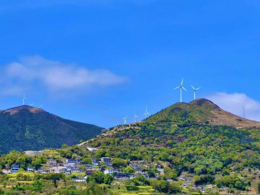 宿海边听潮音,走滩捉蟹,出海捕鱼,约!_滩涂_海风_平阳
