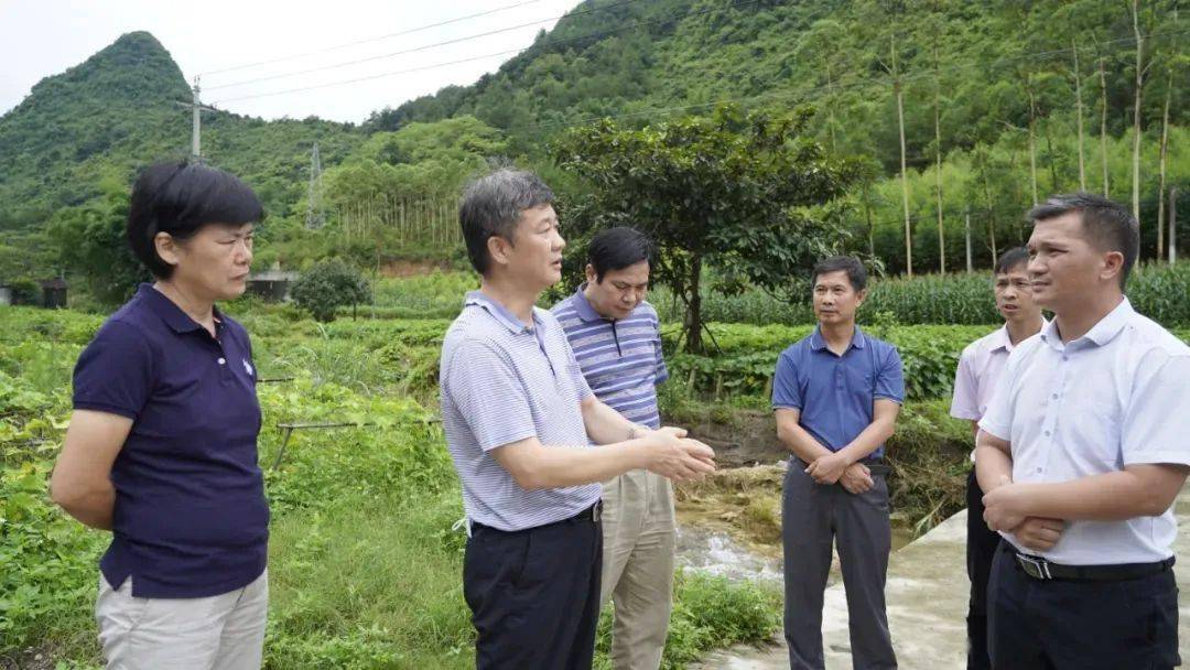 来宾市防汛工作指导组到忻城县大塘镇调研指导防汛救灾工作,县长