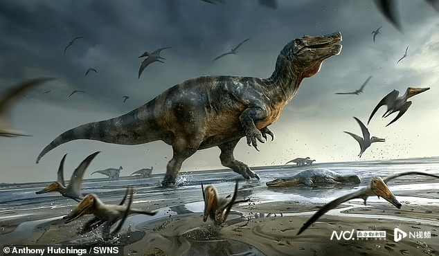 英国惊现鳄鱼脸恐龙：身长10米，或是欧洲最大陆地食肉动物