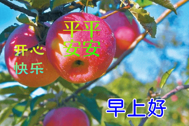 6月13日最漂亮早上好动态表情图片大全早晨好动图美图大全