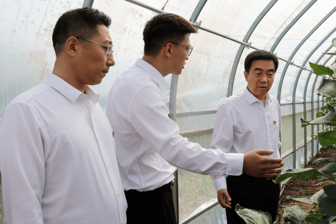 亢振峰在芝阳镇调研时强调坚持正确方向保持历史定力统