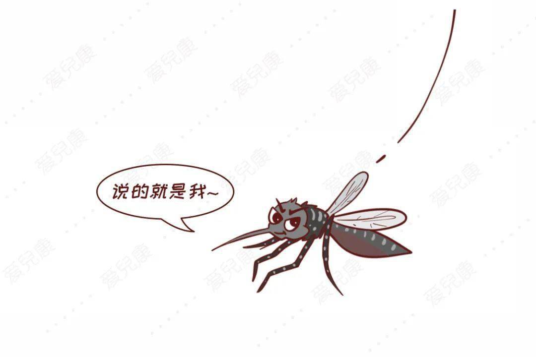 蚊子"都有哪几种让人讨厌的小东西今来带大家认识一下这些就是格外的