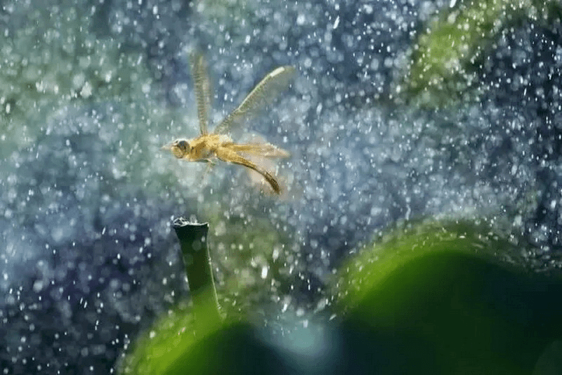 夏天下雨說文李耕昌