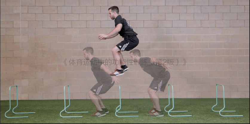 如何系统性的快速提高爆发力_训练_伸缩_复合