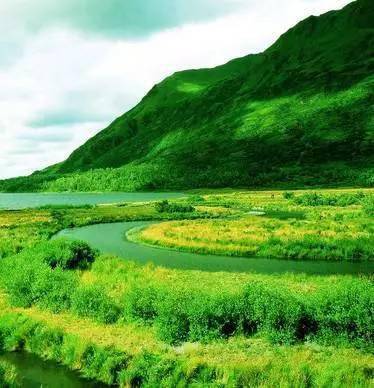 眼科医生说微信有个功能可保护眼睛!你还不知道?_背景图_企业_手机