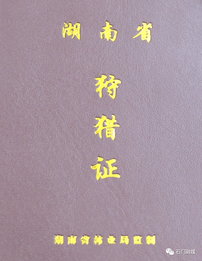 湖南这个县52人获得野猪狩猎许可证,你怎么看?_石门县_防控_进行