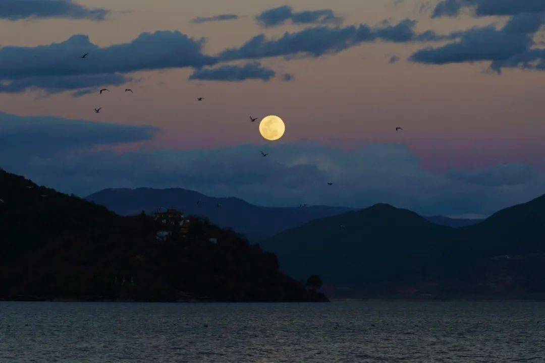 清风明月无人管并作南楼一味凉