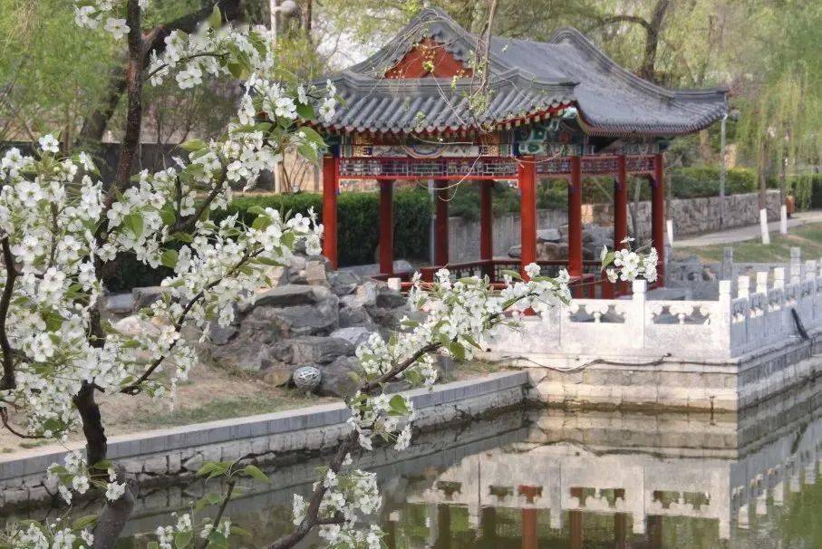 北京一零一中高中实验班入学条件_北京一零一中英才学院招生政策_北京101中学 中考