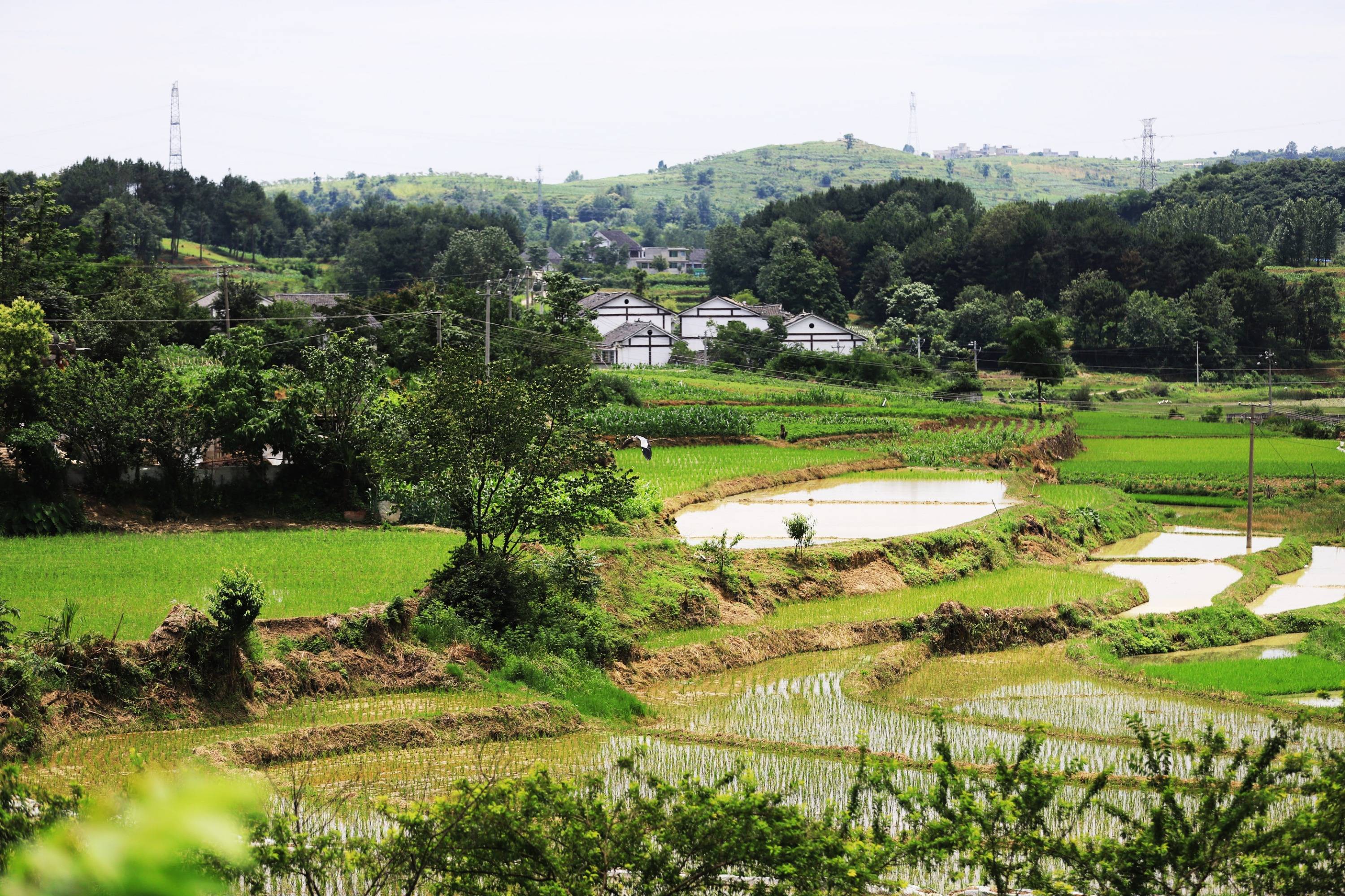 贵州田园风光图片图片