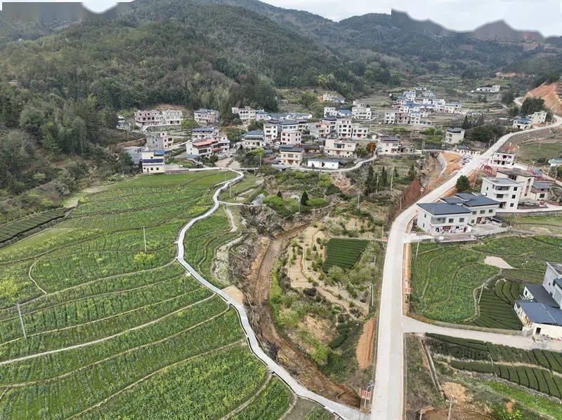 赣州三农寻乌县丹溪乡清溪村做强绿茶产业提升村庄颜值
