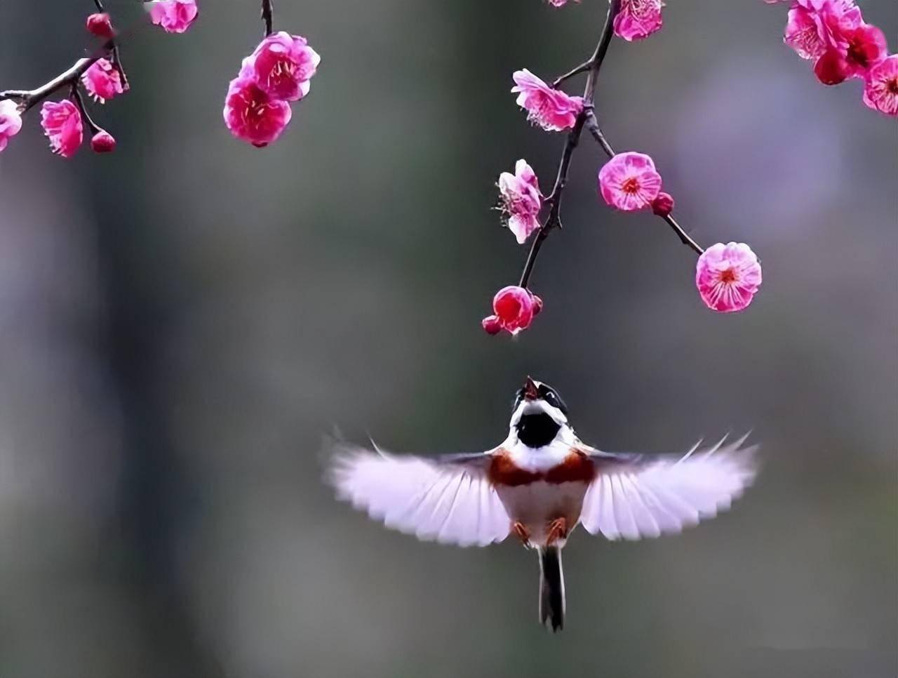 150个有内涵有意境的好名字都是出自诗经