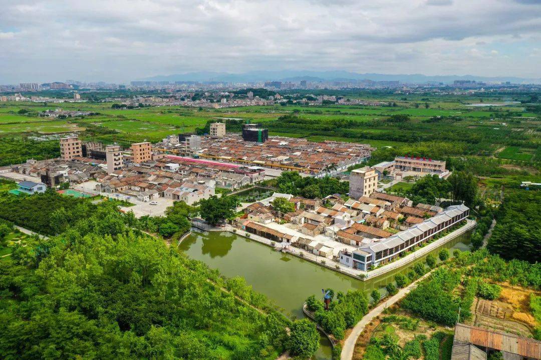 这份乡村振兴的"汕头答卷",请查收!_建设_大农村_农业