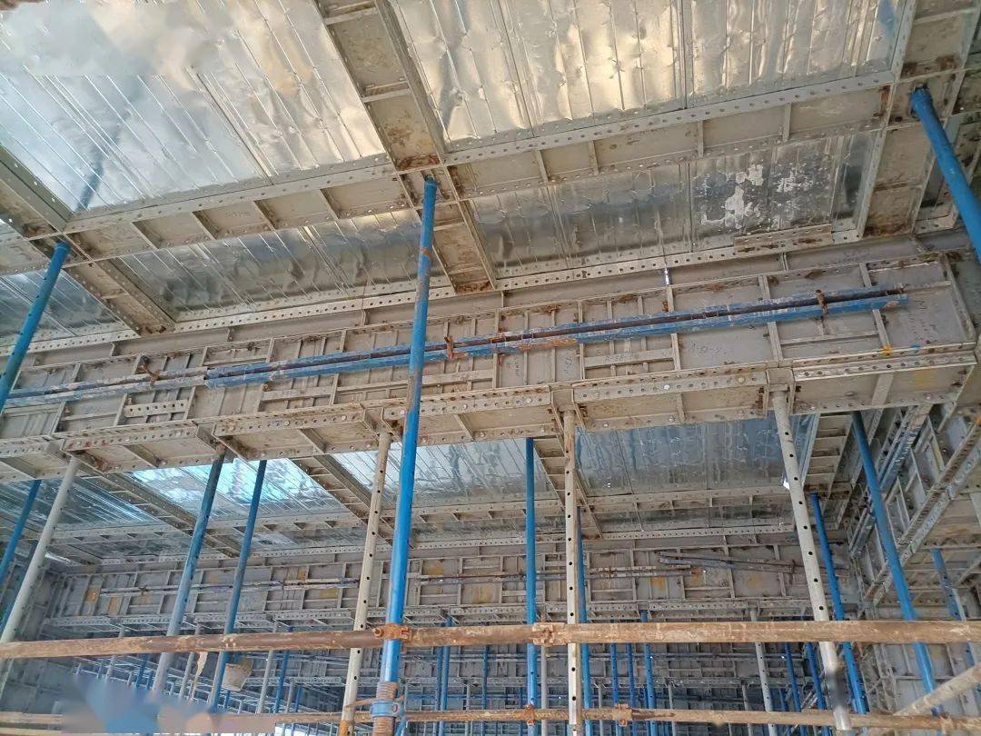 爱你二二61创新丨科技助力,打造大湾区项目建设新高度