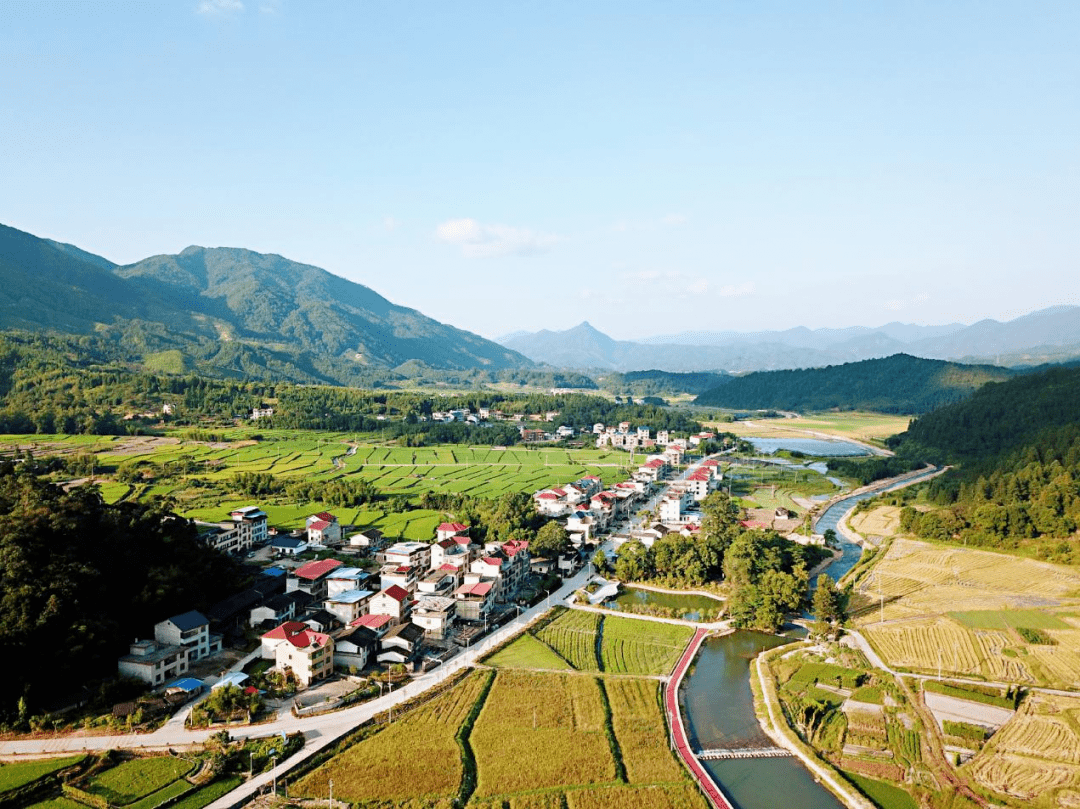 创新推行156乡村建设工作机制丨将乐县小王村在青山绿水间探寻致富