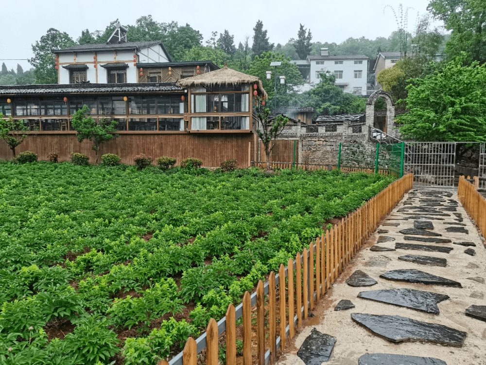 宜昌牛扎坪永秀山庄图片