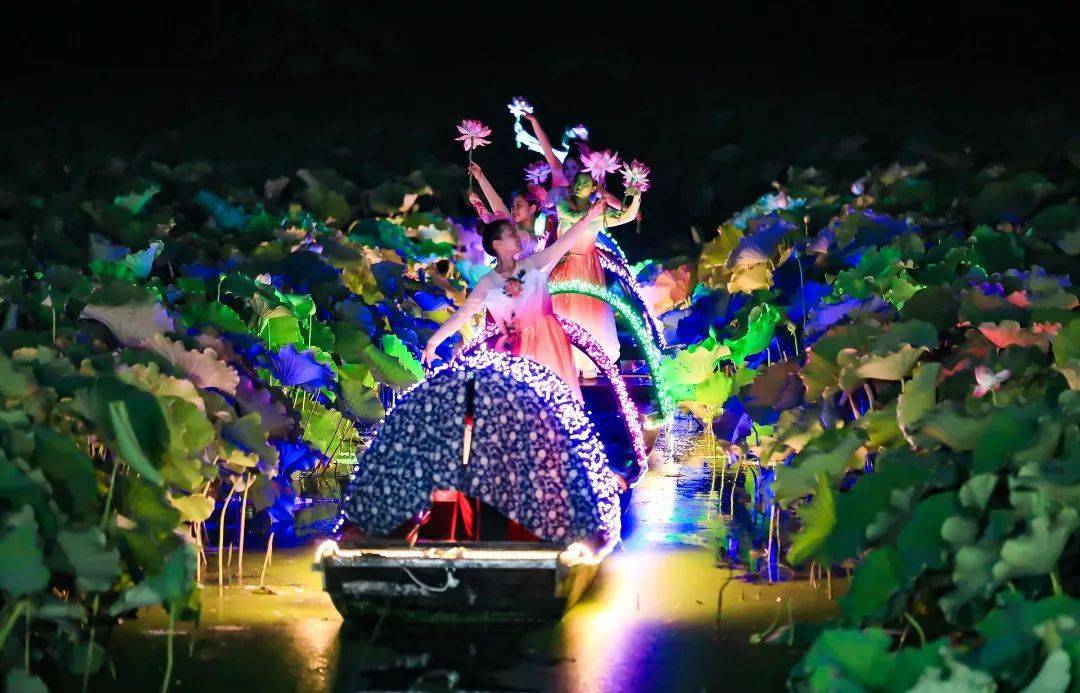 第22届金湖荷花节即将盛大开幕荷花荡一系列精彩活动已经开始速来围观