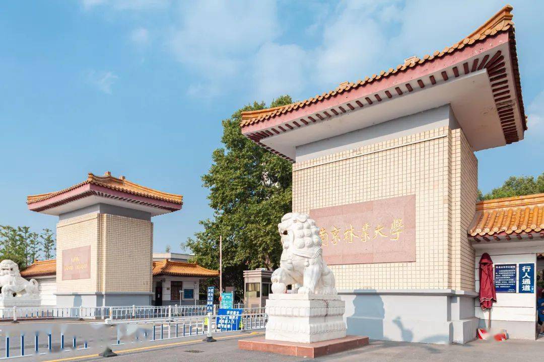 拍下"南京林业大学"还是独自背着行囊站在大门前与父母的合影是青涩地