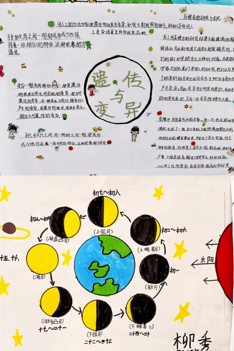 科學老師聚焦核心素養,設計了形式多樣的單元實踐作業.