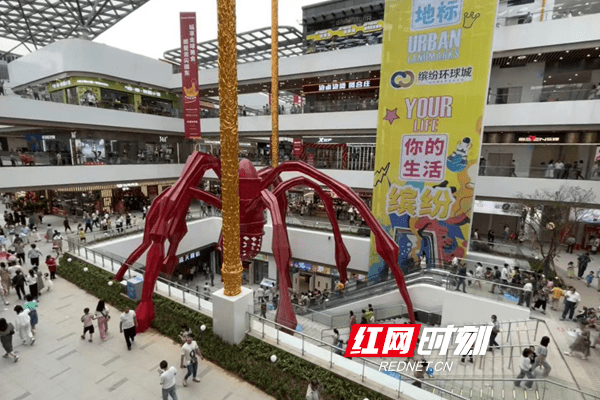 邵东干部入企业排忧解难缤纷环球城如期开业