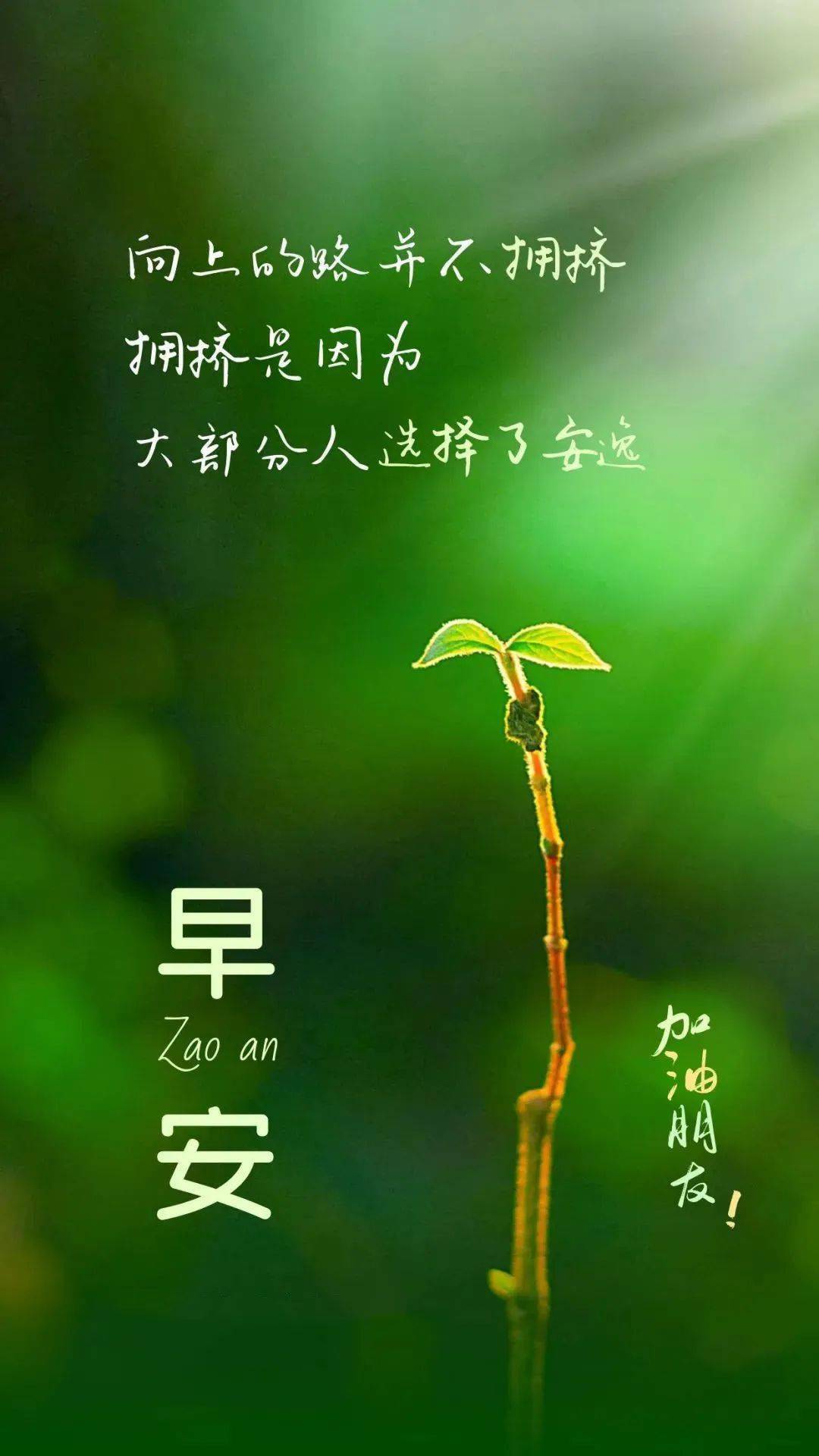 早安正能量励志心语|重新出发,做自己生命的主角_生活_都比_成功