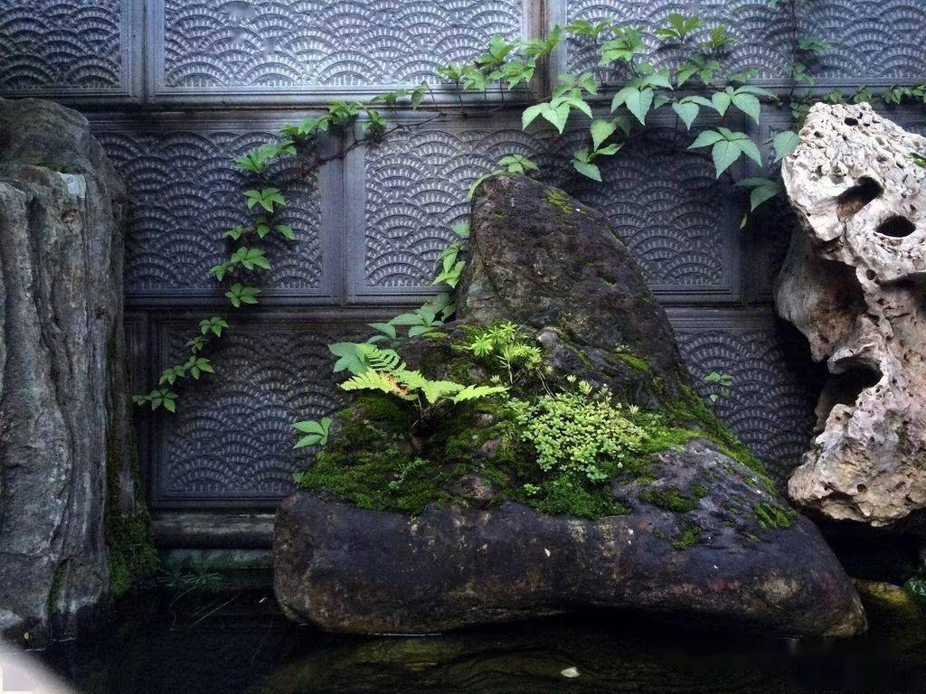 2000款极品禅意苔藓庭院享受一园清凉的盛夏