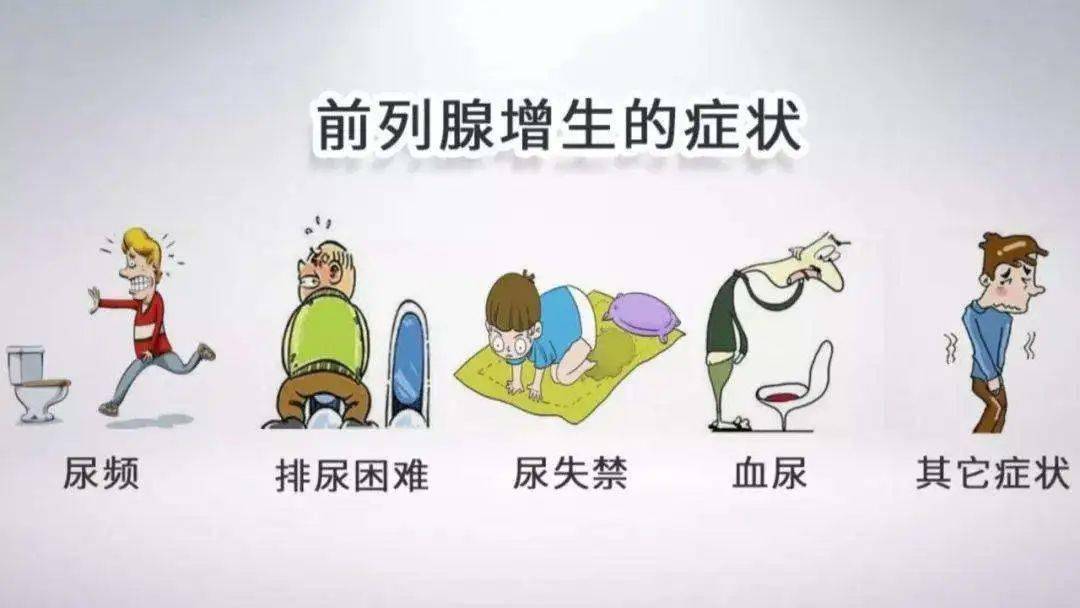 分泌的蛋白酶可促进精液的液化,从而提高精子的活动能力;因男性的尿道