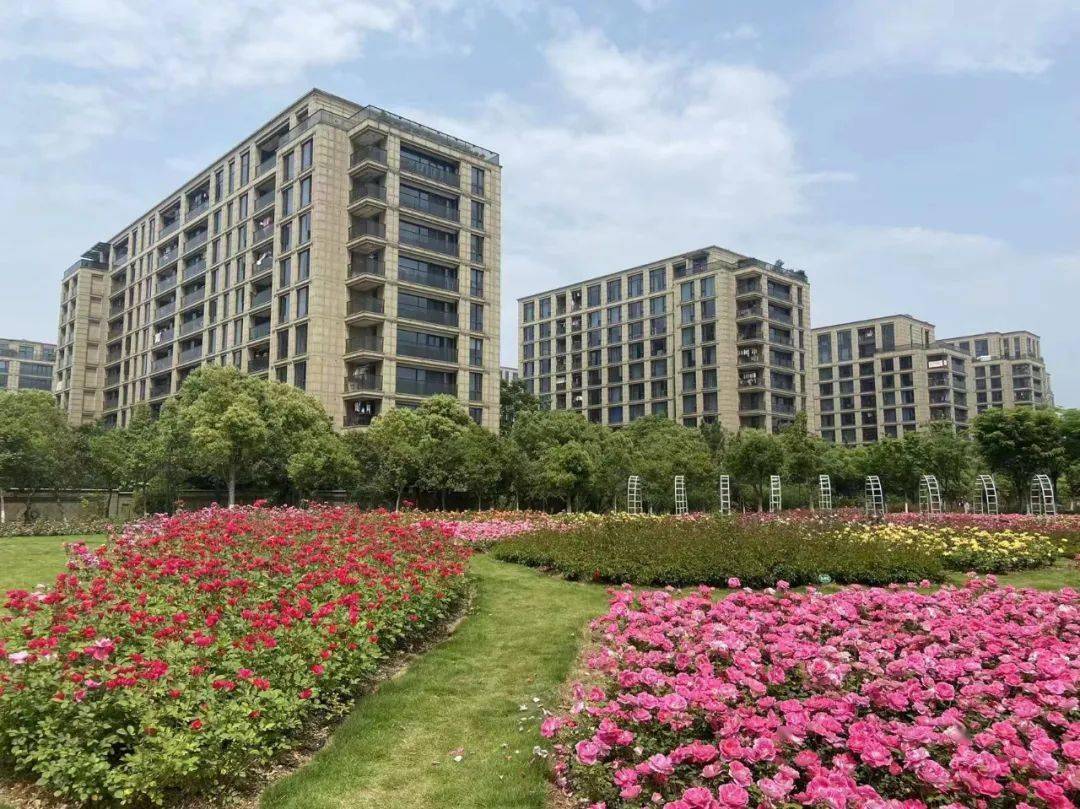 2009年到2010年,蔣村板塊的西溪誠園,西溪蝶園開盤,很多原本居住在老