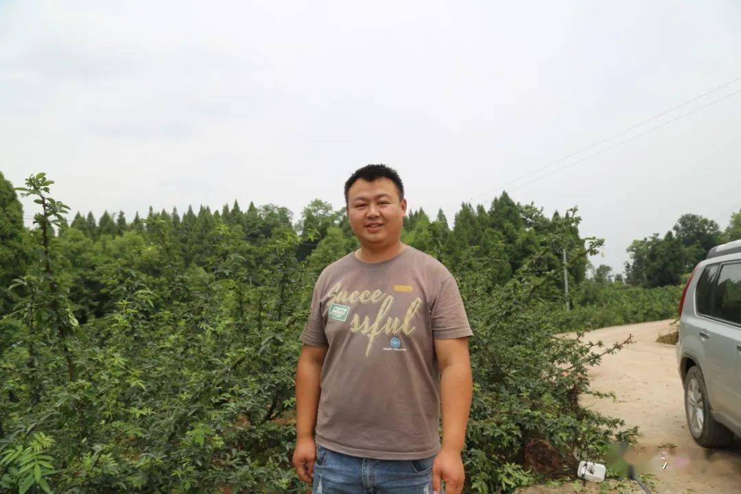 乡村振兴看开江 | 这个村青花椒丰收了,村民笑"麻"了!_坪村_中山_长岭
