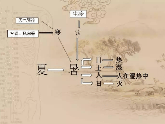 暑热来袭解暑神药藿香正气水你可能用错了