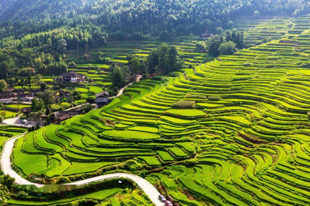 山背花瑶梯田最佳时间图片