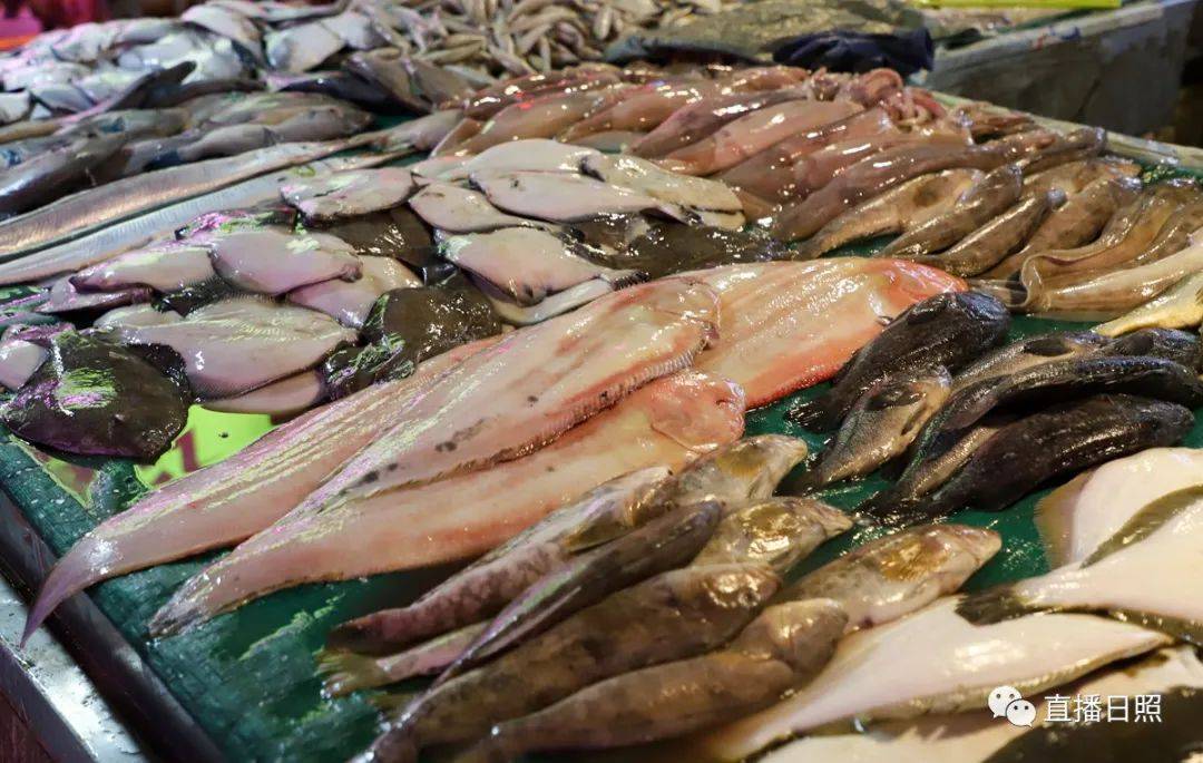 日照海鲜现在什么价?参考价格来了!_休渔期_供应_直播