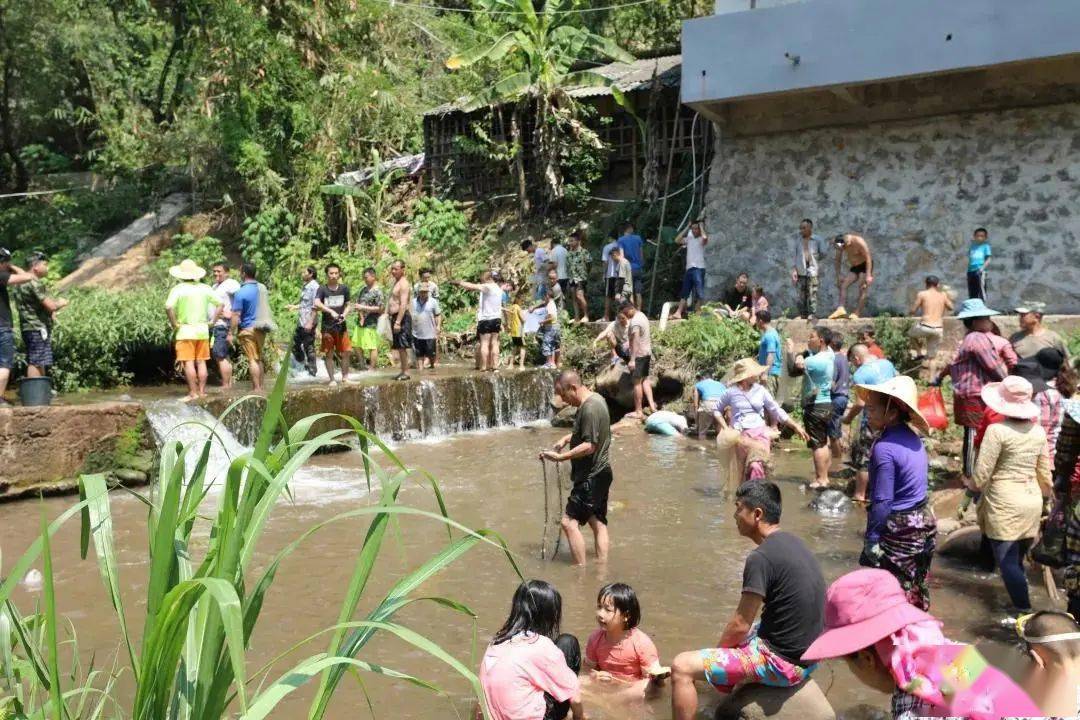 【向往的色彩】河长,让勐远水清岸美_村民_关累镇_河道