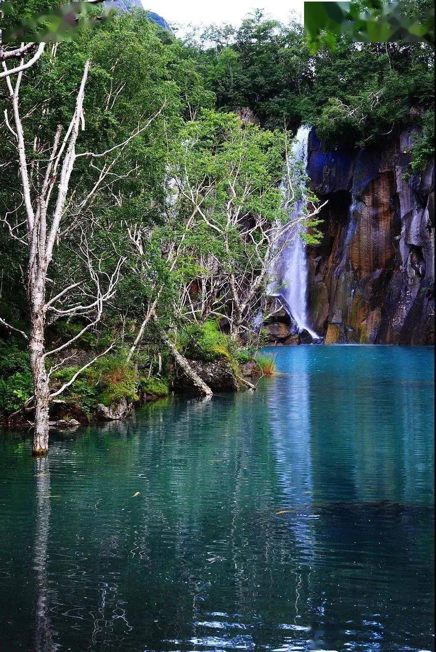 27大连/长白山西北坡 棒棰岛纯玩6日游_风景区_环保车_小时