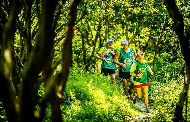 亲子奥森公园无聚集式定向挑战多场次可选