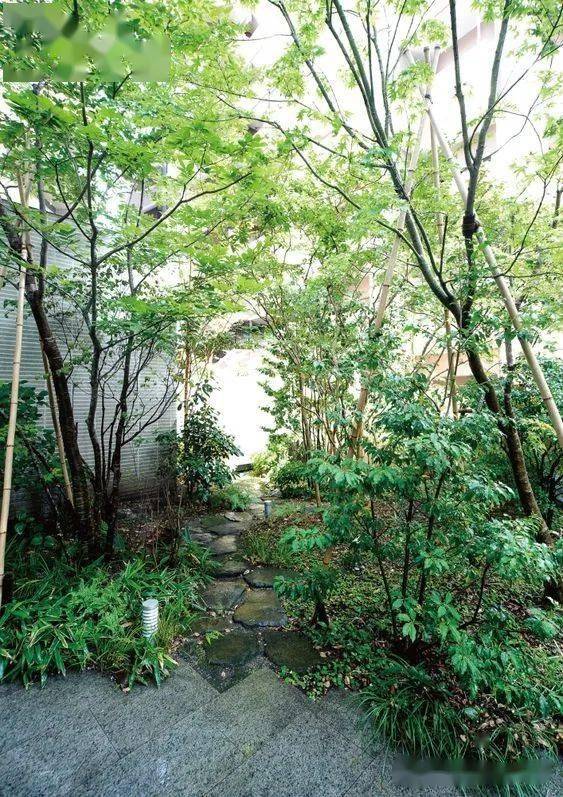 日本顶级杂木庭院500款