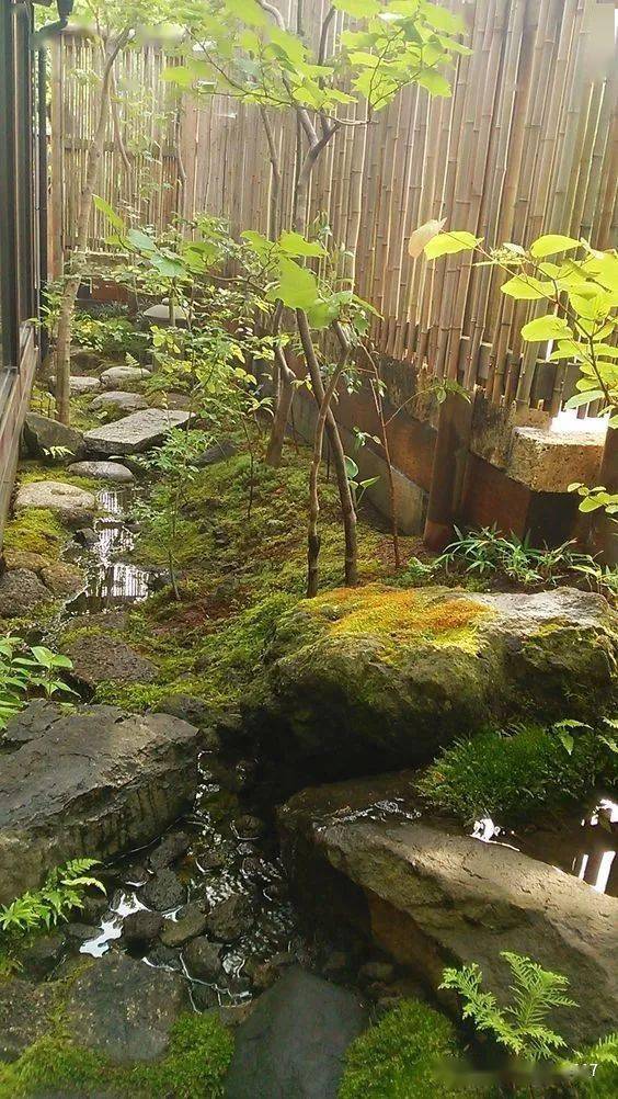 日本顶级杂木庭院500款