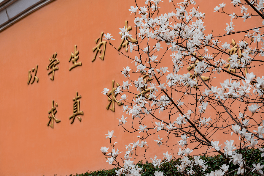 2022年欢迎报考上海市商业学校