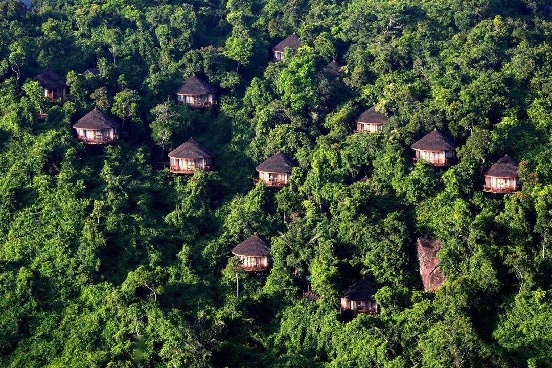 三亚暑期不加价!舒淇同款树屋酒店,2大2小也能用