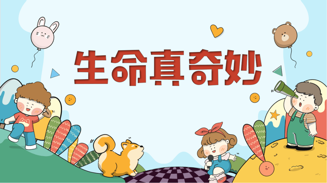 珍爱生命健康成长固城中心小学晓庄一实小百校千师暨德育名师工作室