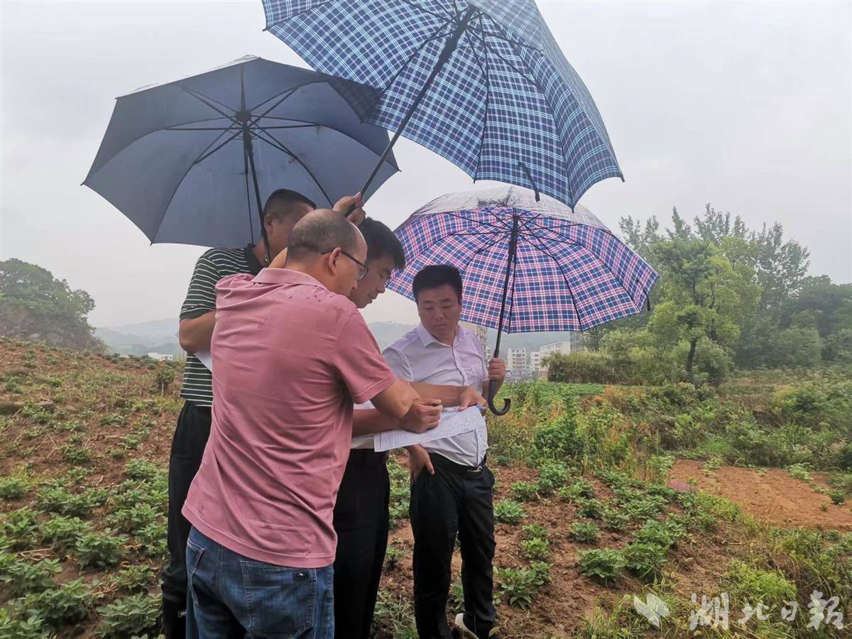 大悟全力应对强降雨天气_河口镇_高店乡_工作
