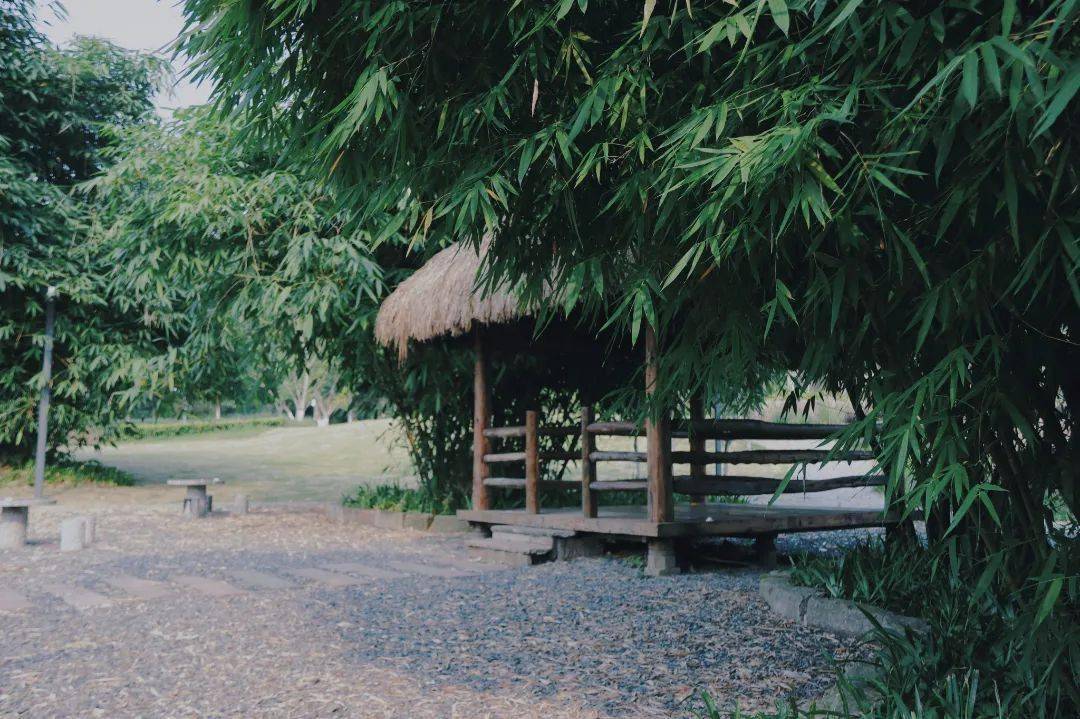 小众宝藏打卡地两江新区国风新场景看竹林庭院踏曲径幽幽