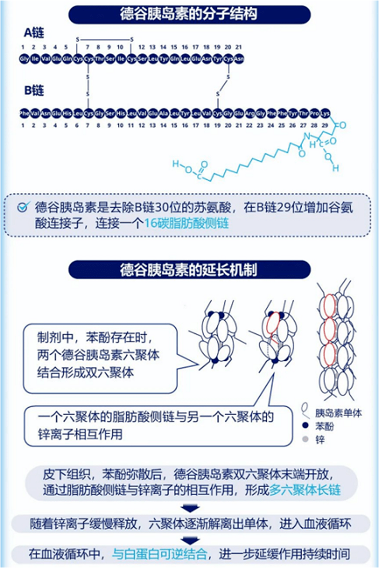 德谷诺和达图片