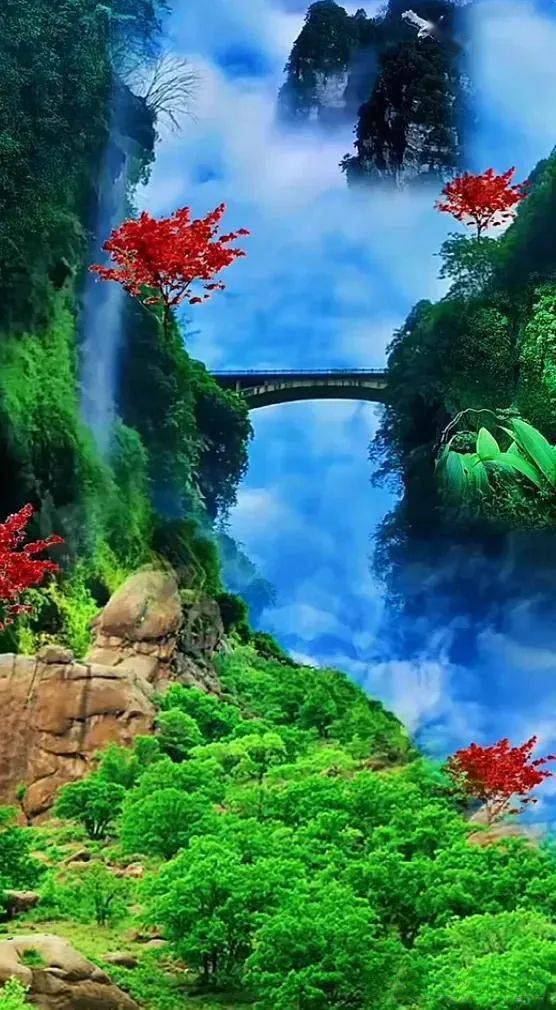 如诗如画如梦如幻美醉了