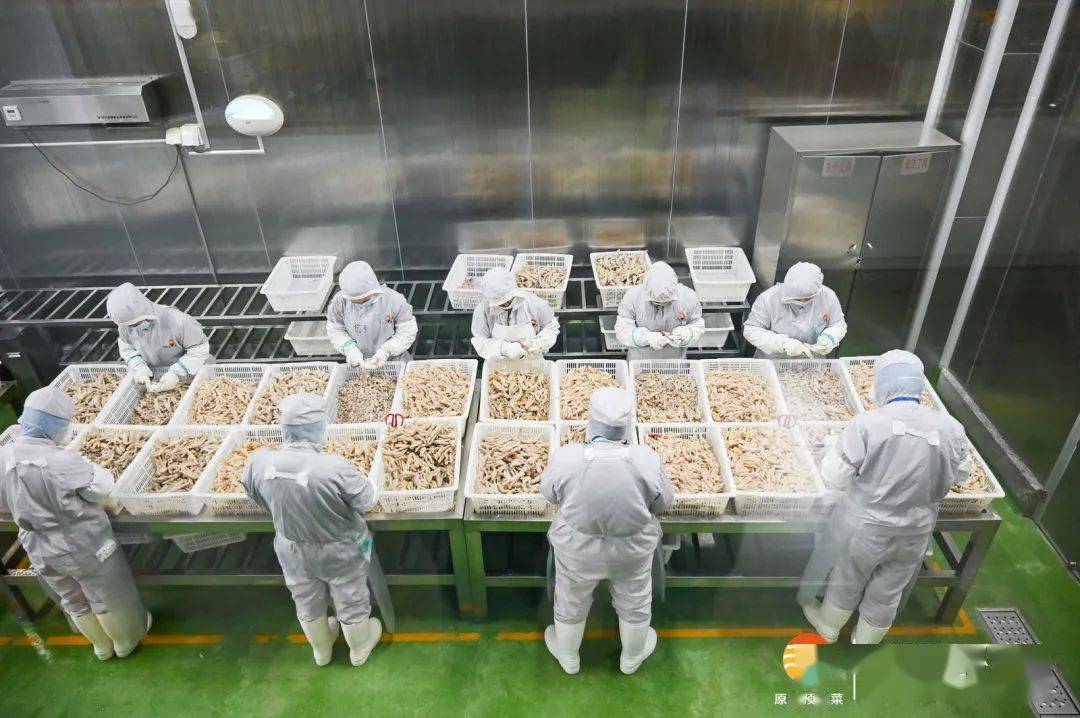预制菜生产：从传统到智能的进化