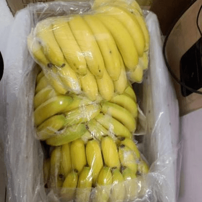 党员韩叔叔来到社区,为日夜奋战的社区工作者送来一箱香蕉