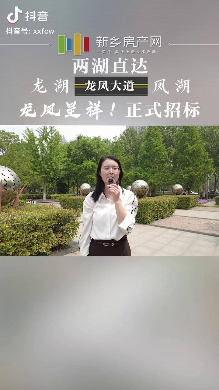 郑新融合 龙凤大道图片