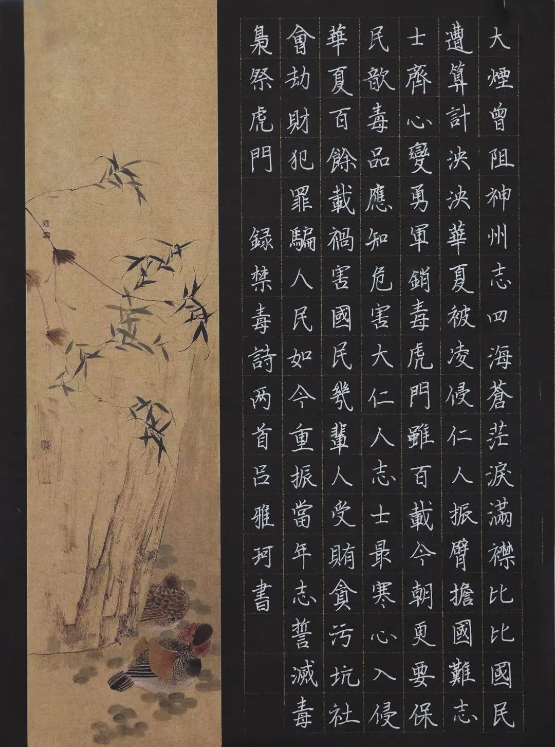 硬笔书法《禁毒诗词》欢迎关注【运城市农业农村局】